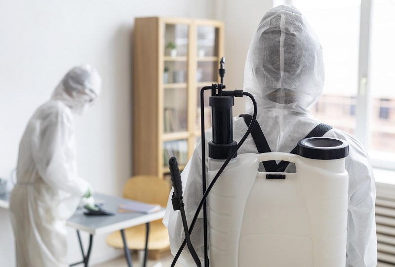 ￼Dezynsekcja – fakty, mity, porady